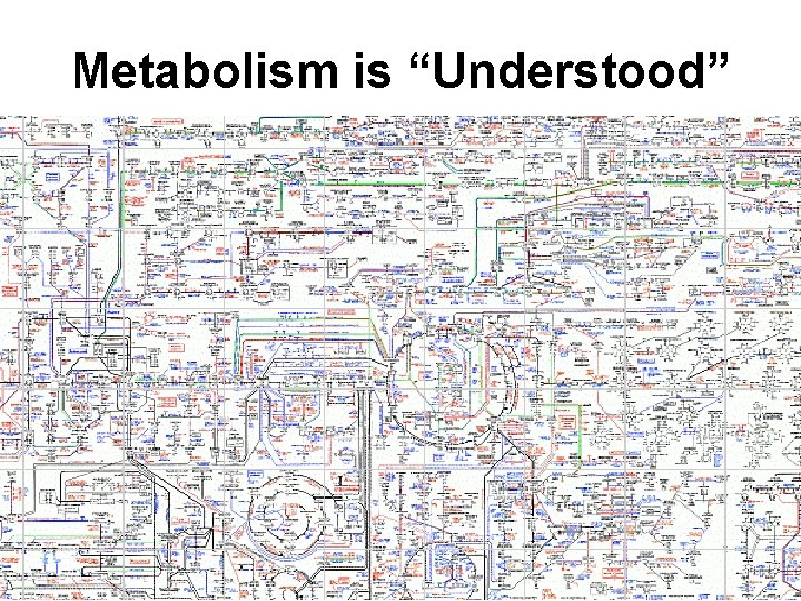 Metabolism is “Understood” Metabolism is “Understood”