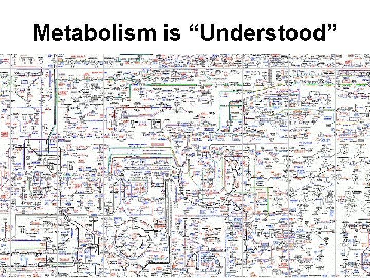 Metabolism is “Understood” 