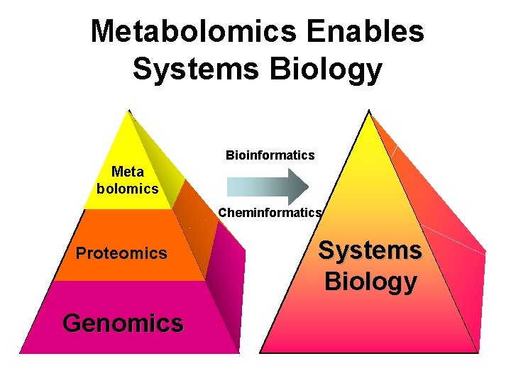 Metabolomics Enables Systems Biology Bioinformatics Meta bolomics Cheminformatics Proteomics Genomics Systems Biology 