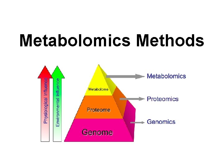 Metabolomics Methods Metabolomics Methods