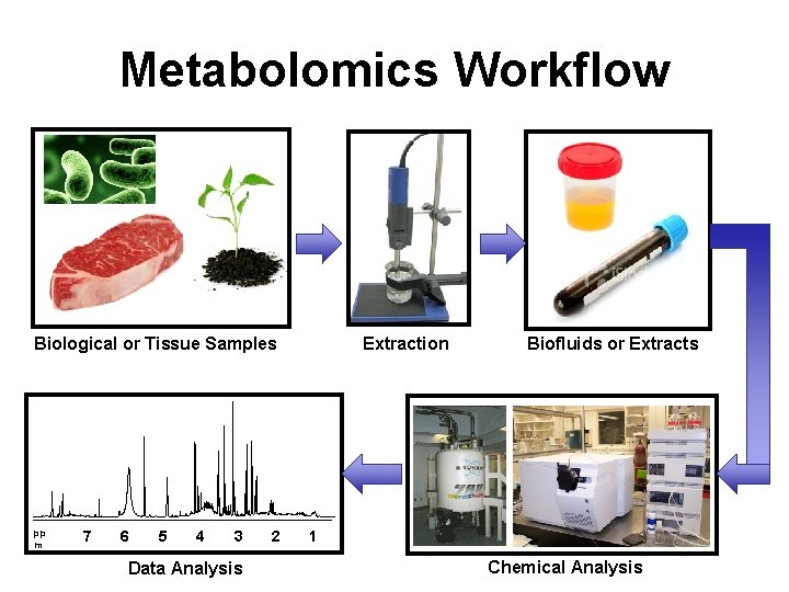 Metabolomics Workflow Biological or Tissue Samples pp m 7 6 5 4 3 Data