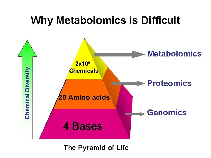 Why Metabolomics is Difficult Chemical Diversity Metabolomics 2 x 105 Chemicals Proteomics 20 Amino