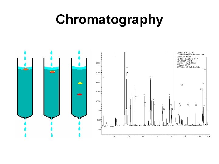 Chromatography Chromatography