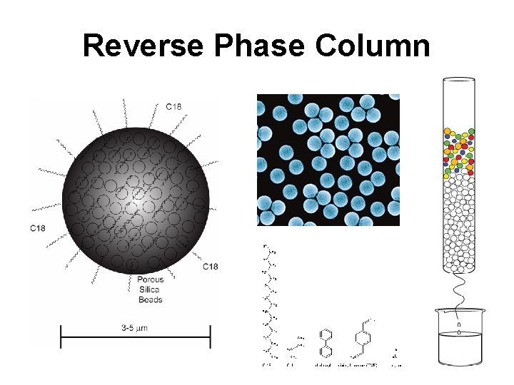 Reverse Phase Column 