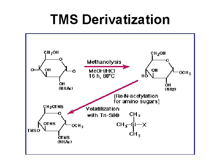 TMS Derivatization 