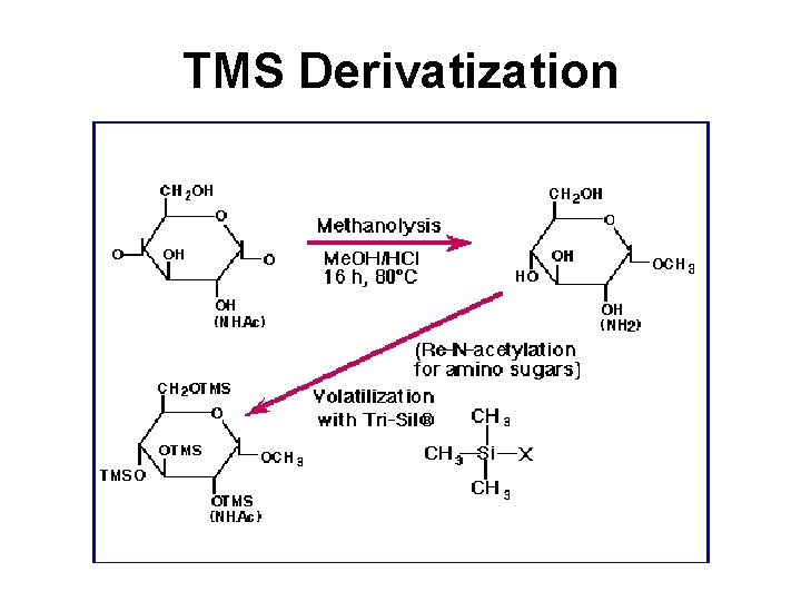TMS Derivatization TMS Derivatization