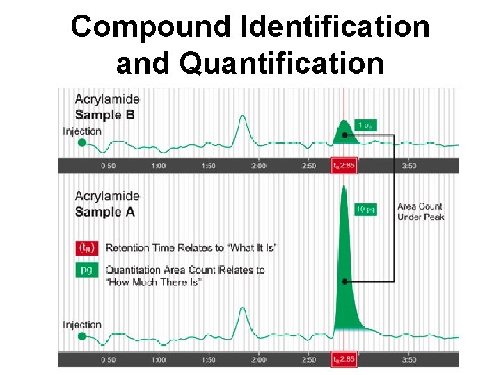 Compound Identification and Quantification Compound Identification and Quantification