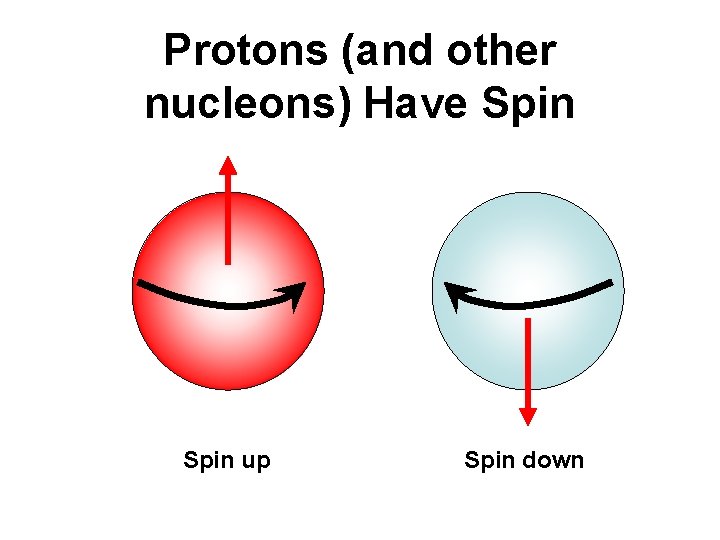 Protons (and other nucleons) Have Spin up Spin down 