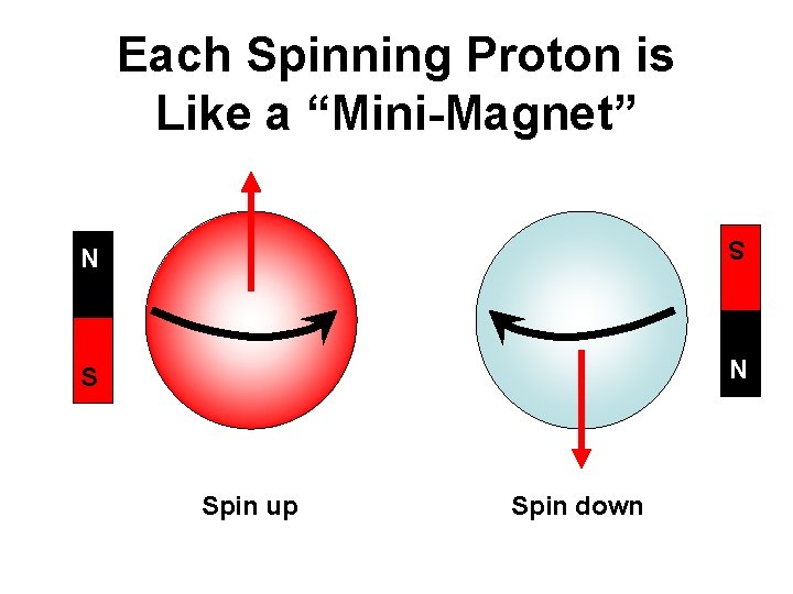 Each Spinning Proton is Like a “Mini-Magnet” S N N S Spin up Spin