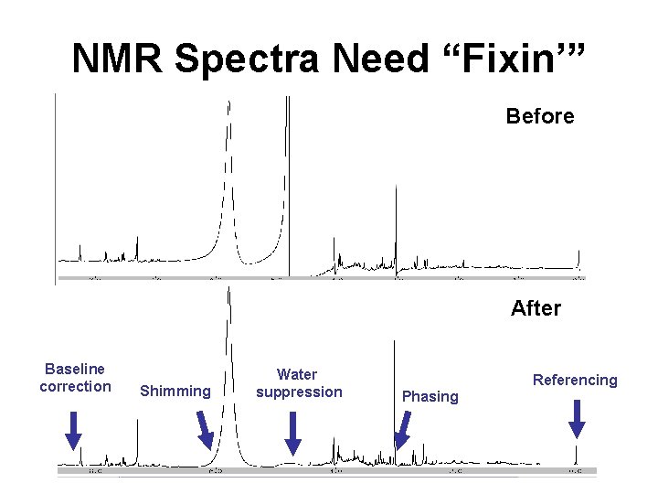 NMR Spectra Need “Fixin’” Before After Baseline correction Shimming Water suppression Referencing Phasing 