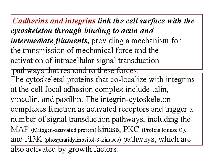 Cadherins and integrins link the cell surface with the cytoskeleton through binding to actin