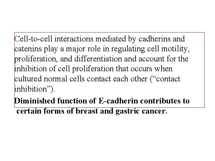 Cell-to-cell interactions mediated by cadherins and catenins play a major role in regulating cell