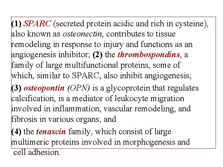 (1) SPARC (secreted protein acidic and rich in cysteine), also known as osteonectin, contributes