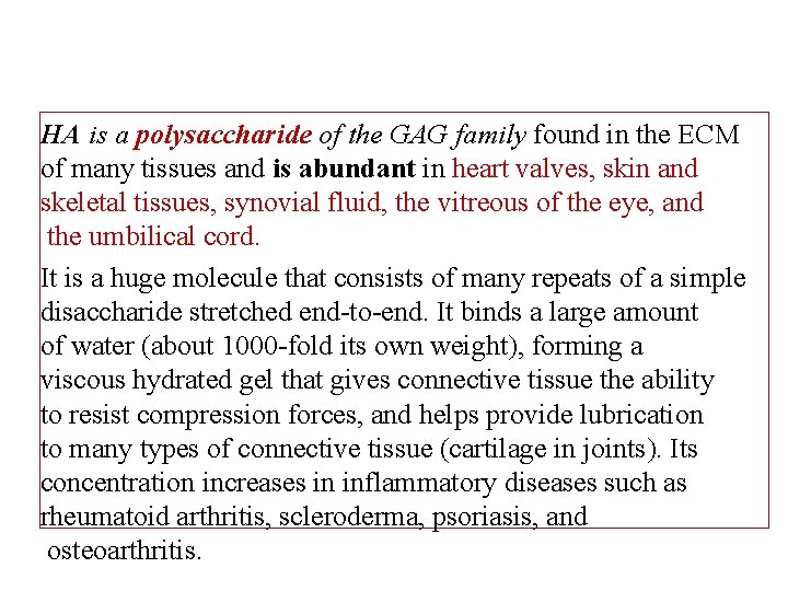 HA is a polysaccharide of the GAG family found in the ECM of many
