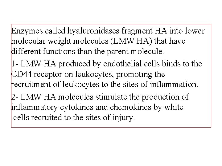Enzymes called hyaluronidases fragment HA into lower molecular weight molecules (LMW HA) that have