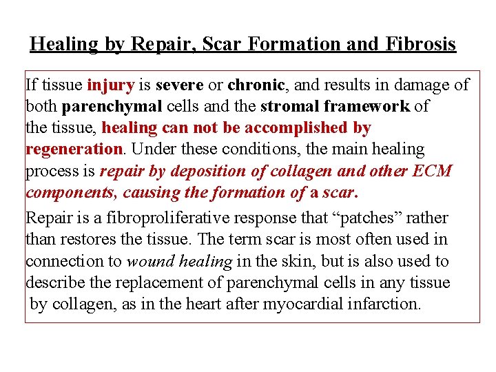 Healing by Repair, Scar Formation and Fibrosis If tissue injury is severe or chronic,