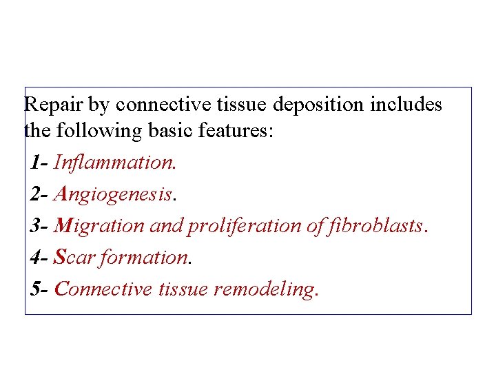 Repair by connective tissue deposition includes the following basic features: 1 - Inflammation. 2