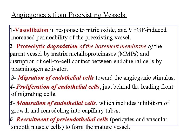 Angiogenesis from Preexisting Vessels. 1 -Vasodilation in response to nitric oxide, and VEGF-induced increased