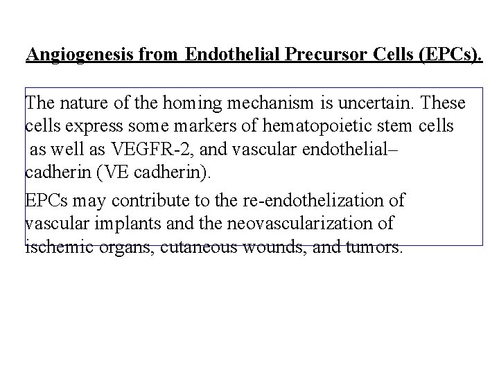 Angiogenesis from Endothelial Precursor Cells (EPCs). The nature of the homing mechanism is uncertain.