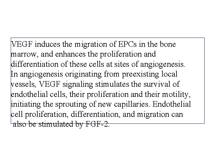 VEGF induces the migration of EPCs in the bone marrow, and enhances the proliferation