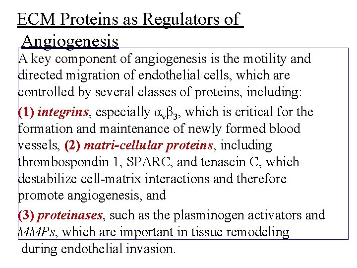 ECM Proteins as Regulators of Angiogenesis A key component of angiogenesis is the motility