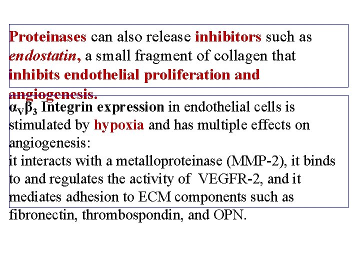 Proteinases can also release inhibitors such as endostatin, a small fragment of collagen that