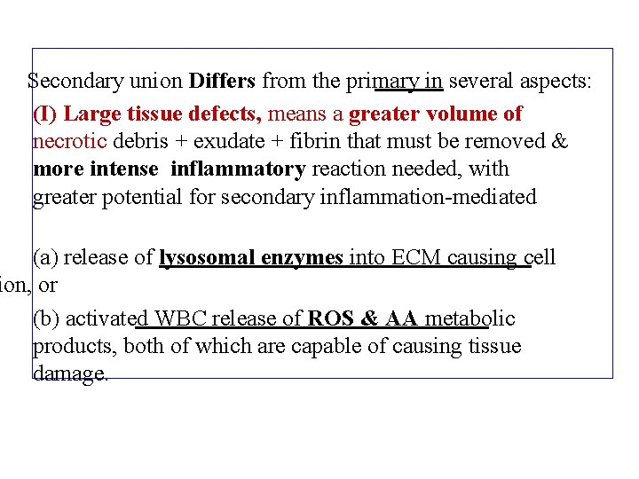 Secondary union Differs from the primary in several aspects: (I) Large tissue defects, means
