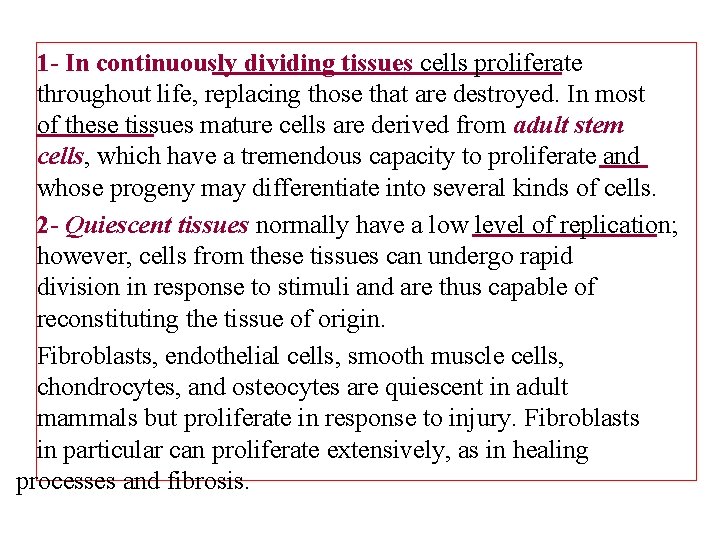 1 - In continuously dividing tissues cells proliferate throughout life, replacing those that are