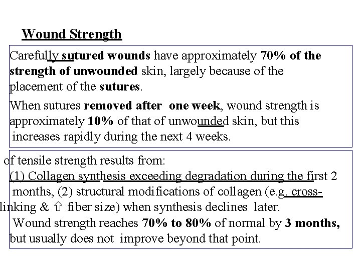 Wound Strength Carefully sutured wounds have approximately 70% of the strength of unwounded skin,