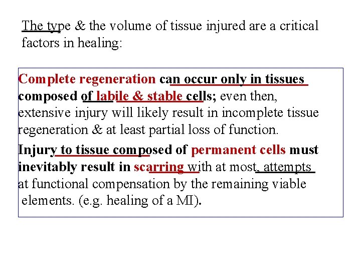 The type & the volume of tissue injured are a critical factors in healing: