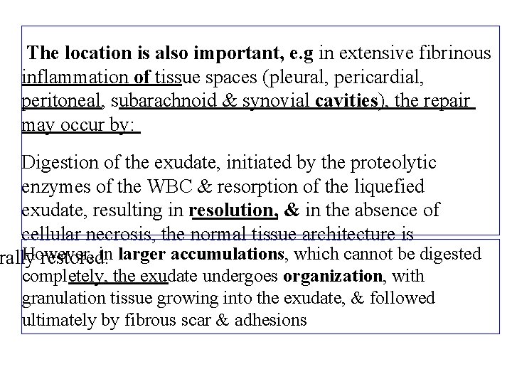 The location is also important, e. g in extensive fibrinous inflammation of tissue spaces