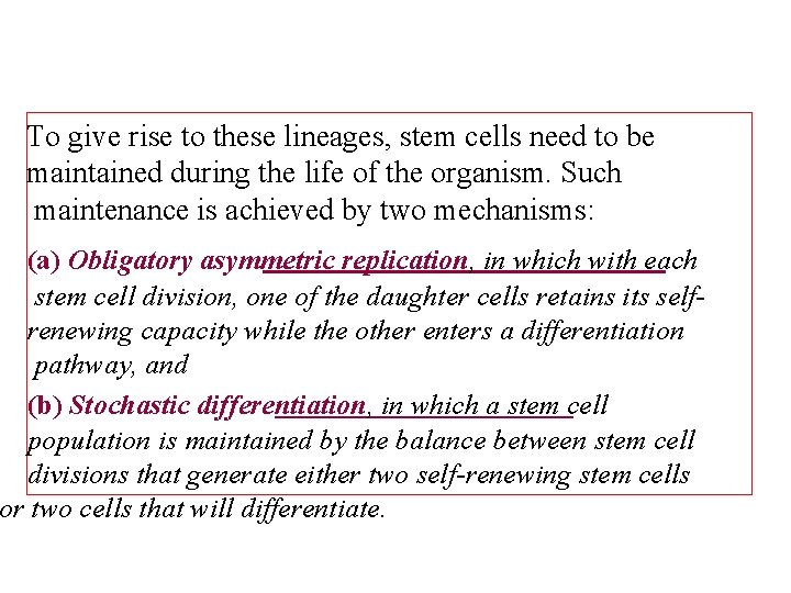 To give rise to these lineages, stem cells need to be maintained during the