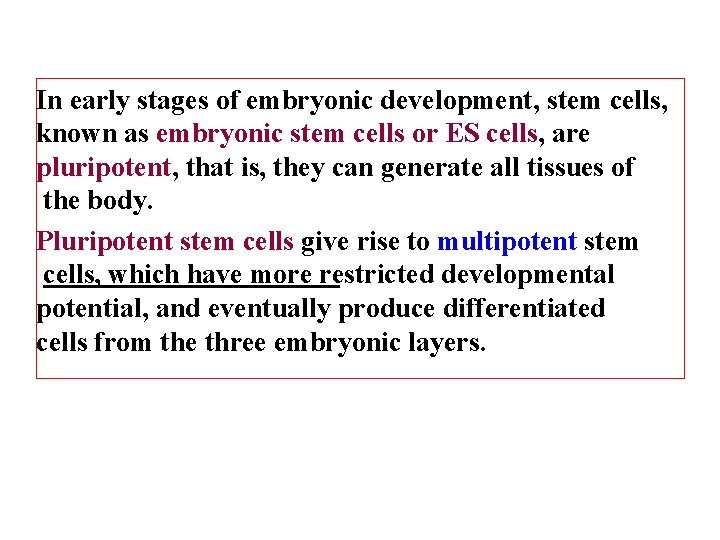 In early stages of embryonic development, stem cells, known as embryonic stem cells or