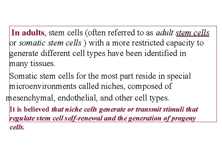 In adults, stem cells (often referred to as adult stem cells or somatic stem