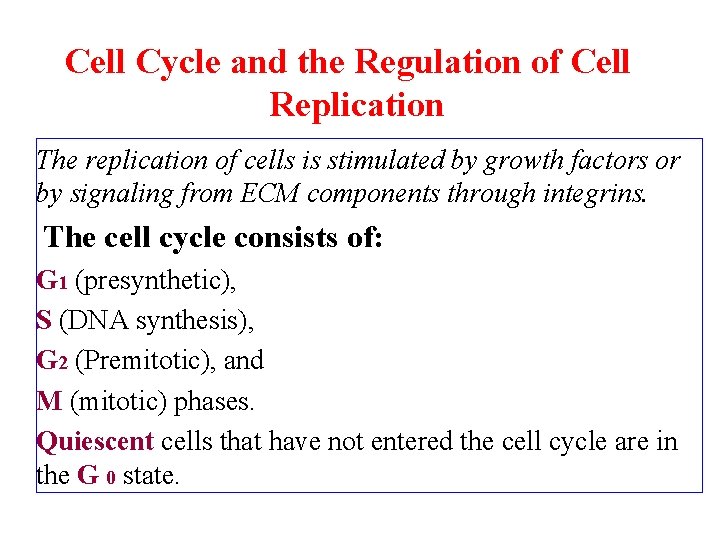 Cell Cycle and the Regulation of Cell Replication The replication of cells is stimulated