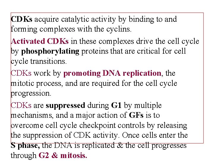 CDKs acquire catalytic activity by binding to and forming complexes with the cyclins. Activated
