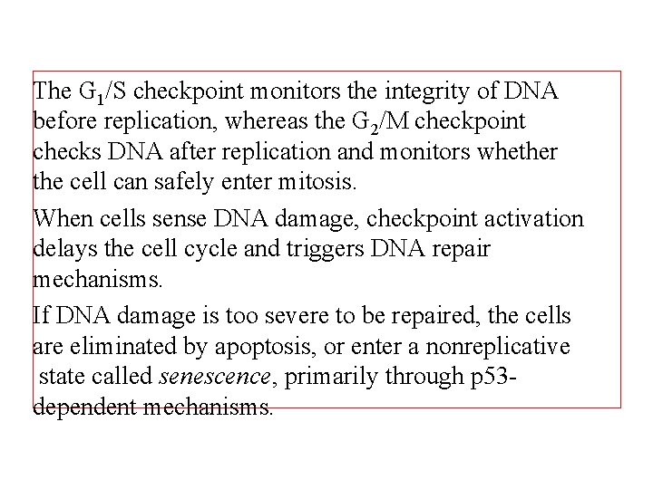 The G 1/S checkpoint monitors the integrity of DNA before replication, whereas the G