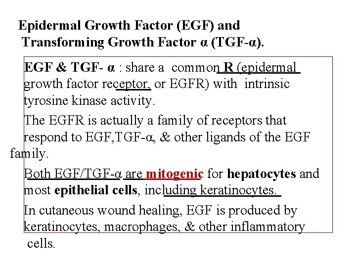 Epidermal Growth Factor (EGF) and Transforming Growth Factor α (TGF-α). EGF & TGF- α