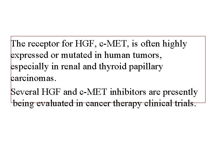 The receptor for HGF, c-MET, is often highly expressed or mutated in human tumors,