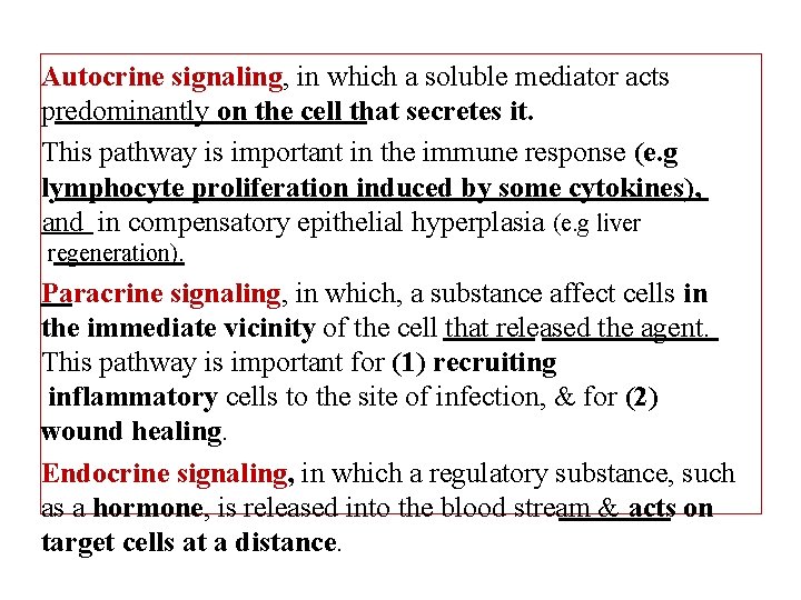 Autocrine signaling, in which a soluble mediator acts predominantly on the cell that secretes