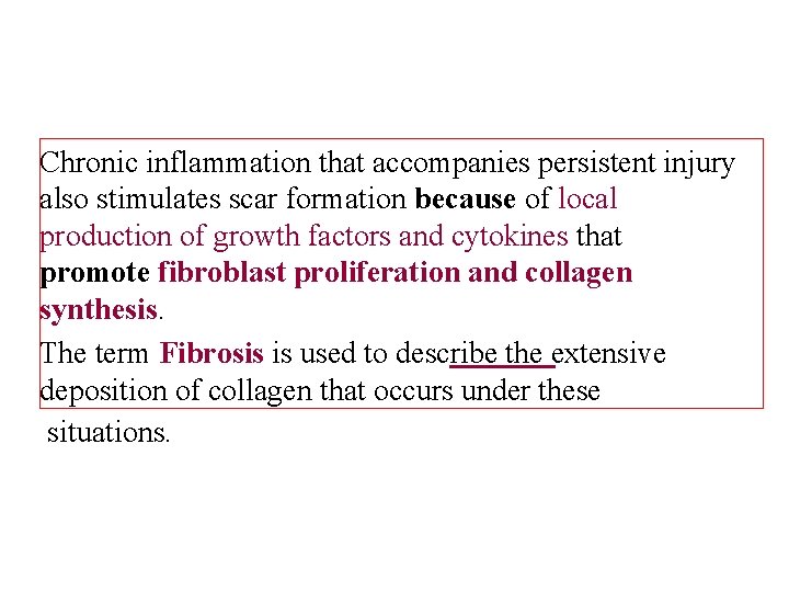 Chronic inflammation that accompanies persistent injury also stimulates scar formation because of local production