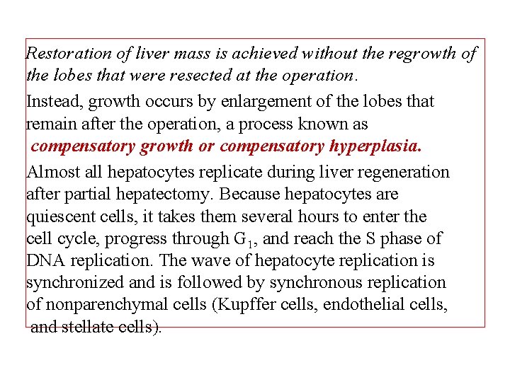 Restoration of liver mass is achieved without the regrowth of the lobes that were