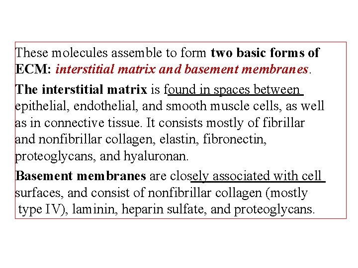 These molecules assemble to form two basic forms of ECM: interstitial matrix and basement