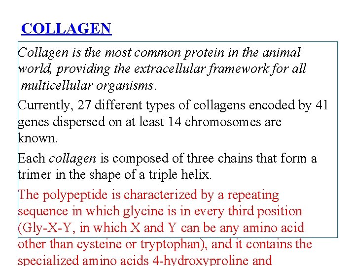 COLLAGEN Collagen is the most common protein in the animal world, providing the extracellular