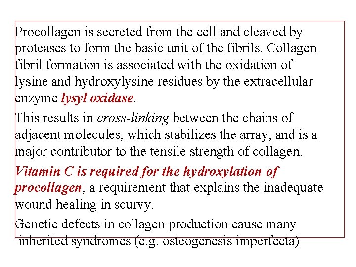 Procollagen is secreted from the cell and cleaved by proteases to form the basic