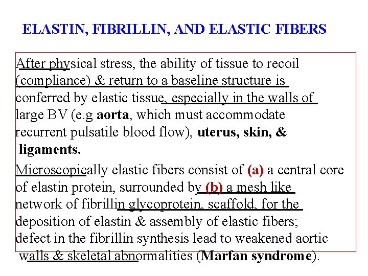 ELASTIN, FIBRILLIN, AND ELASTIC FIBERS After physical stress, the ability of tissue to recoil