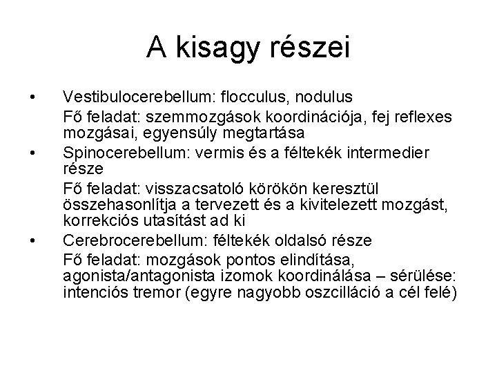 A kisagy részei • • • Vestibulocerebellum: flocculus, nodulus Fő feladat: szemmozgások koordinációja, fej