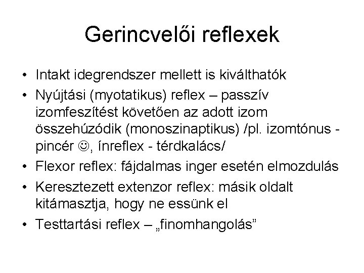 Gerincvelői reflexek • Intakt idegrendszer mellett is kiválthatók • Nyújtási (myotatikus) reflex – passzív
