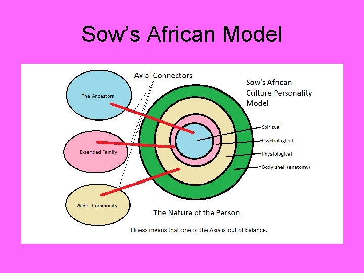 Sow’s African Model 