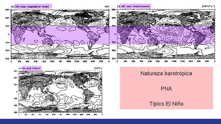 Natureza barotrópica PNA Típico El Niño 